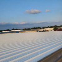 Lion Roof Coatings ico