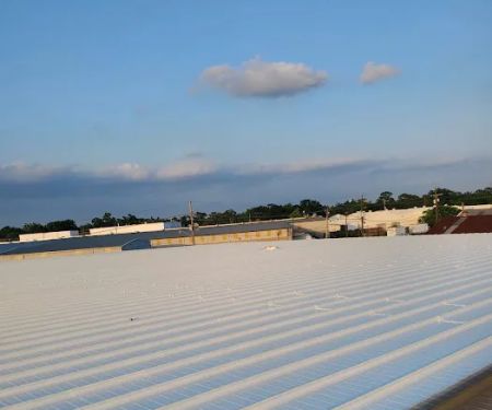 Lion Roof Coatings