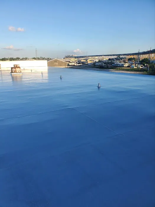 Lion Roof Coatings Picture 5