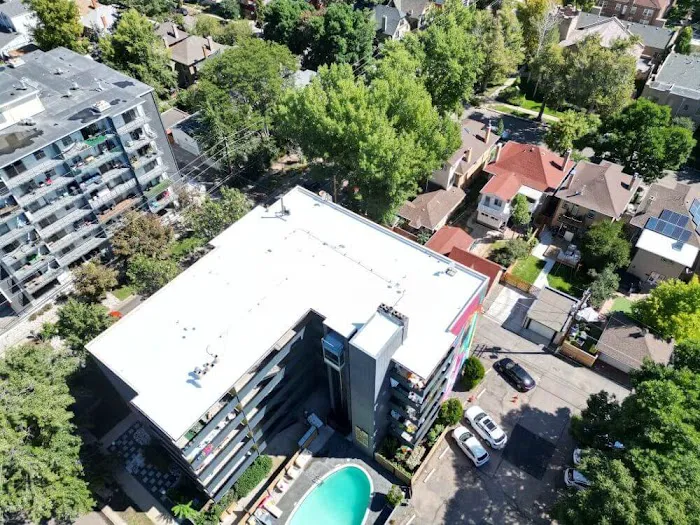 Lion Roof Coatings Picture 8