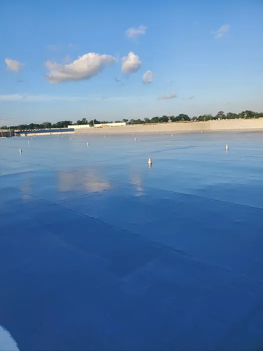 Lion Roof Coatings Picture 7