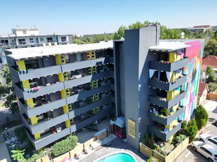 Lion Roof Coatings Picture 6