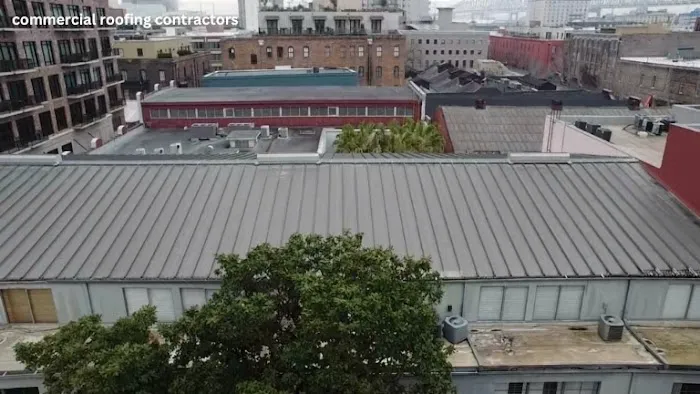 Lion Roof Coatings Picture 10