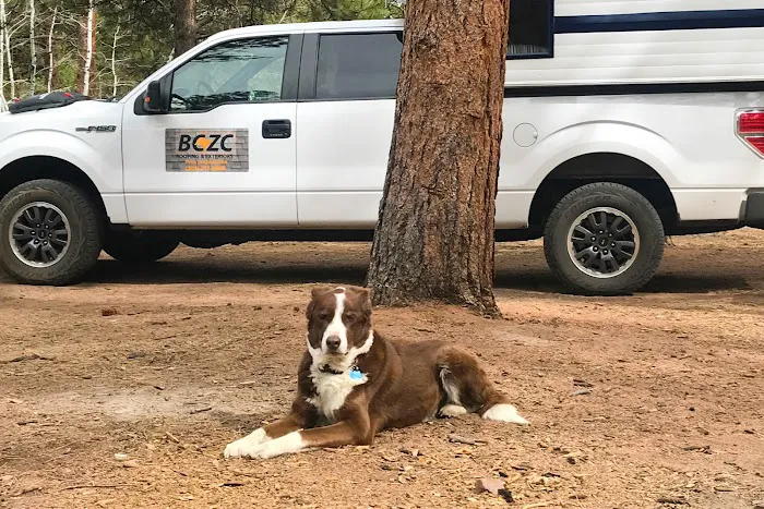 BCZC Roofing and Exteriors Picture 7