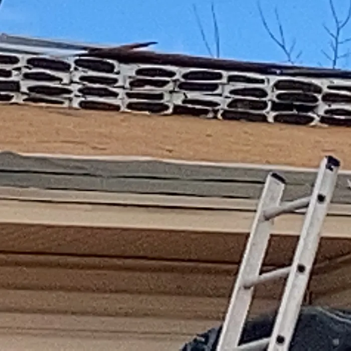 Gorilla Roof, Inc. Picture 10