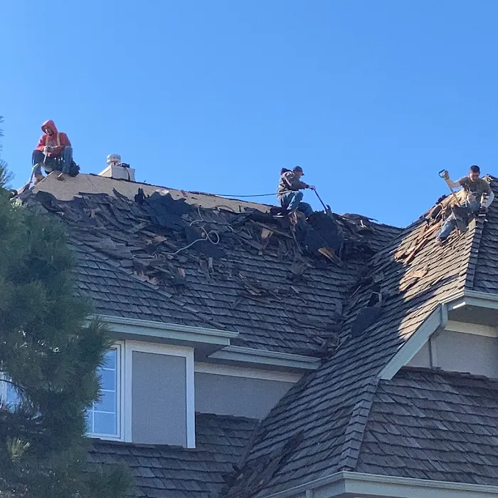 Gorilla Roof, Inc. Picture 9