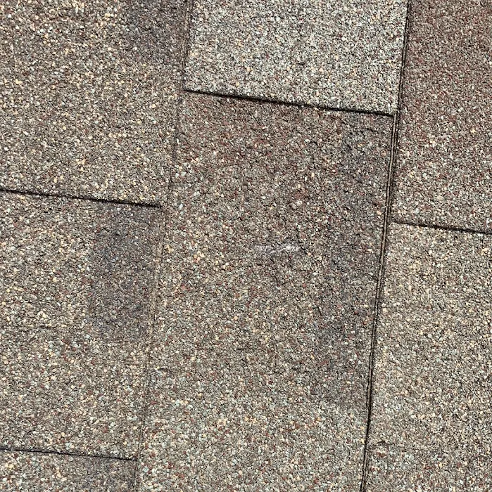 Gorilla Roof, Inc. Picture 8