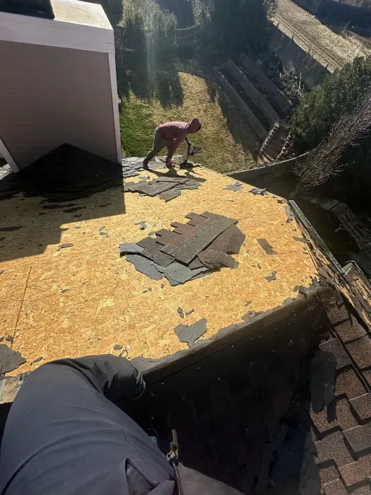 Hail Restoration Experts Picture 4