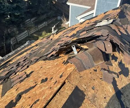 Hail Restoration Experts
