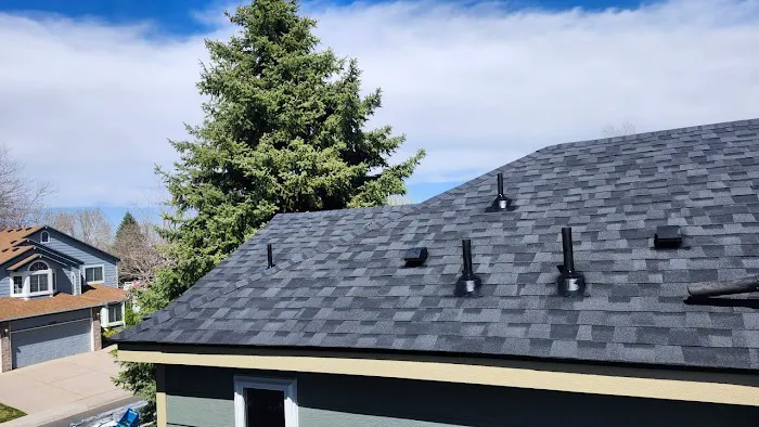 CMS Roofing And Home Maintenance Picture 4