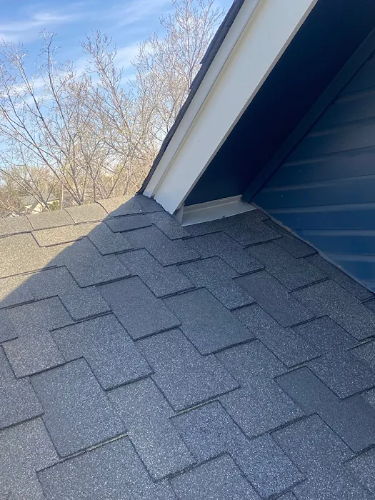 Golden Spike Roofing Inc Picture 10