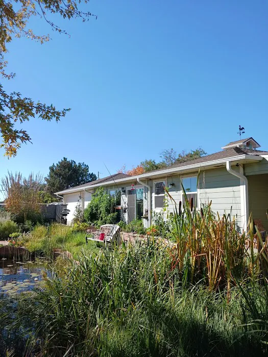 Priority Roofing Picture 4