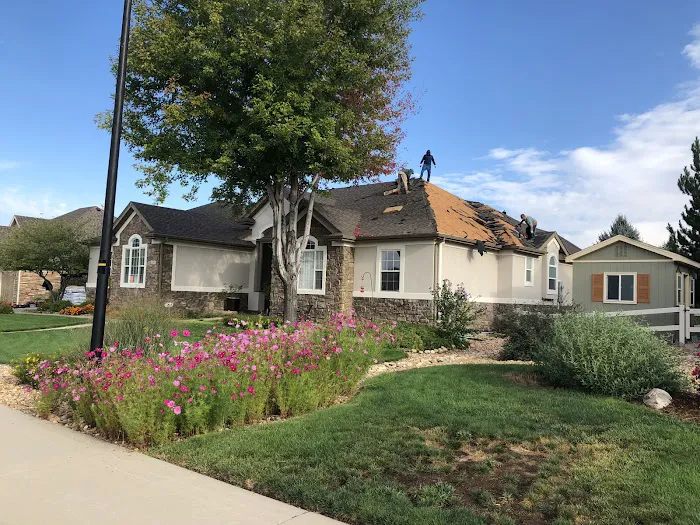 Revive Restoration & Roofing, LLC Picture 7