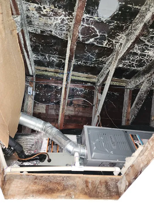 Colorado Roofers Picture 4