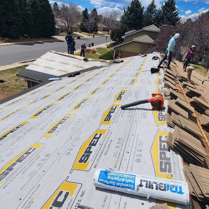 Tepuy Roofing Picture 10