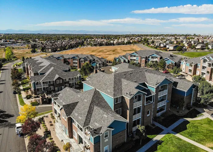 Dynamic National Picture 5