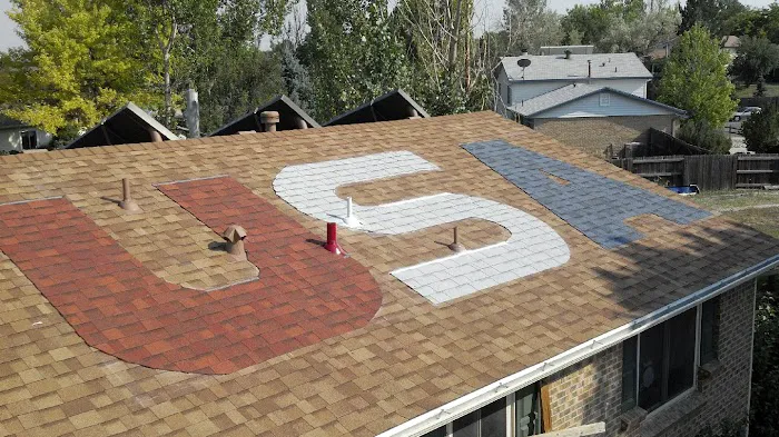 Diamond Restoration Picture 1