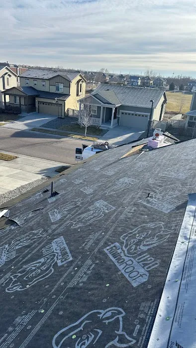 Iron Bull Roofing Picture 4