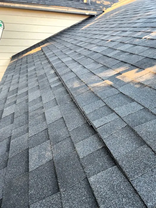 Bailey Roofing & Exteriors Picture 3