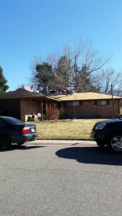 No Zombies Roofing Picture 3