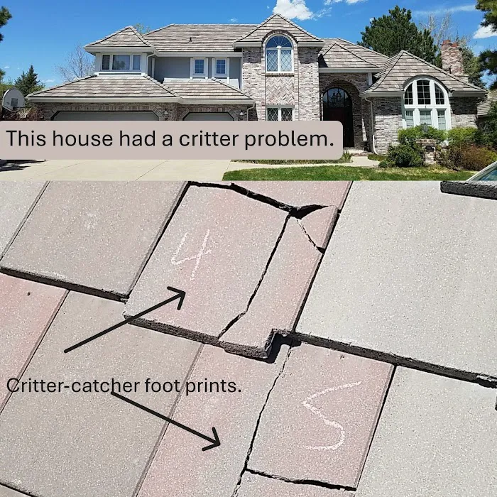 No Zombies Roofing Picture 4