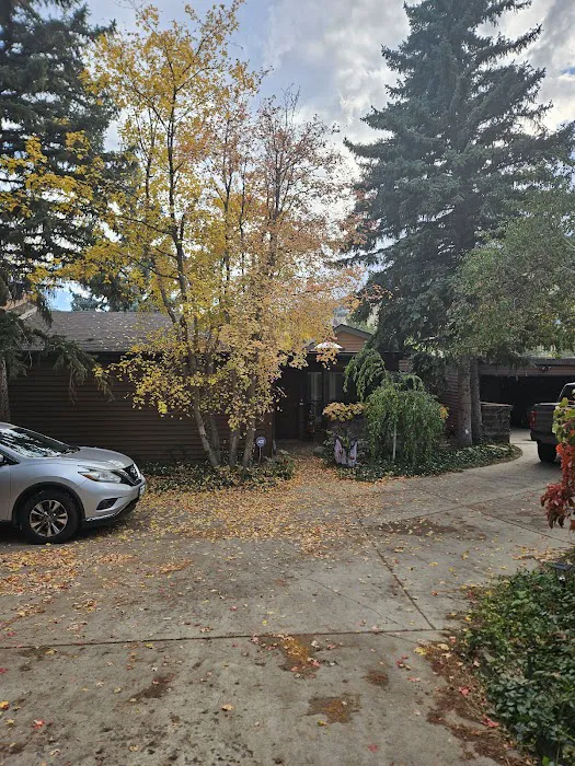 No Zombies Roofing Picture 10