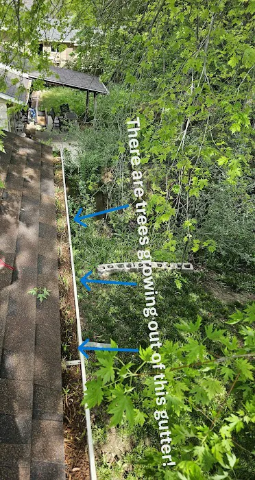 No Zombies Roofing Picture 9