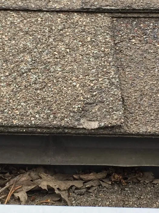 Integrity Roofing Services Picture 9