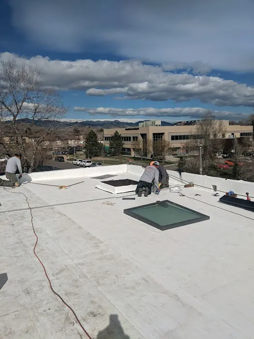 Simplified Restoration Picture 5