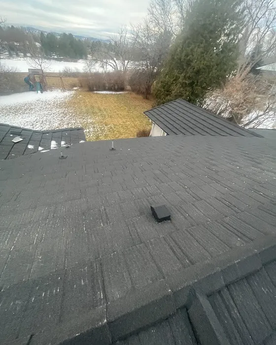 Lotus Roofing - Exteriors & Insulation Picture 3