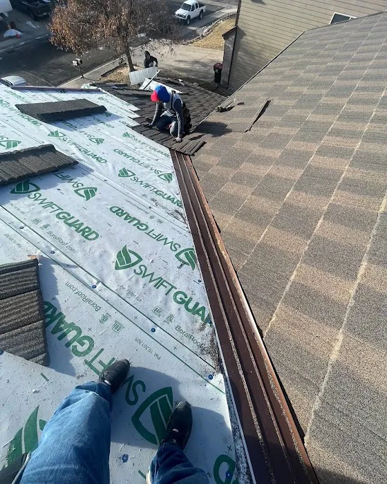 Lotus Roofing - Exteriors & Insulation Picture 7