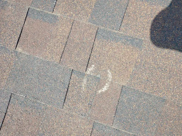 Best Roof Roofing Picture 10