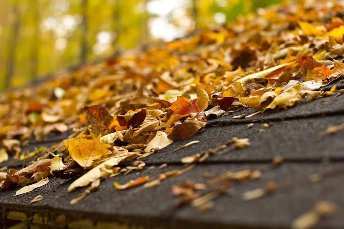 Roof Brokers, Inc. Picture 3