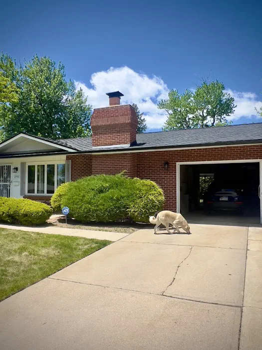 Go In Pro Construction Picture 2