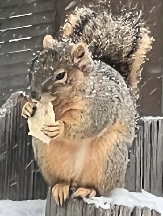 Pro Exteriors, LLC Picture 4