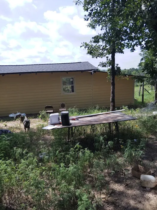 DaBella Roof Productions Picture 2