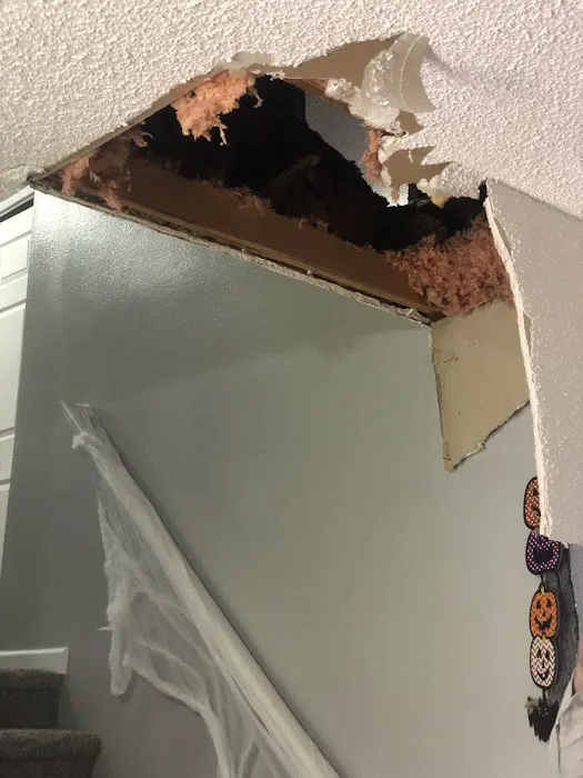 NexGen Solar and Roofing Picture 3