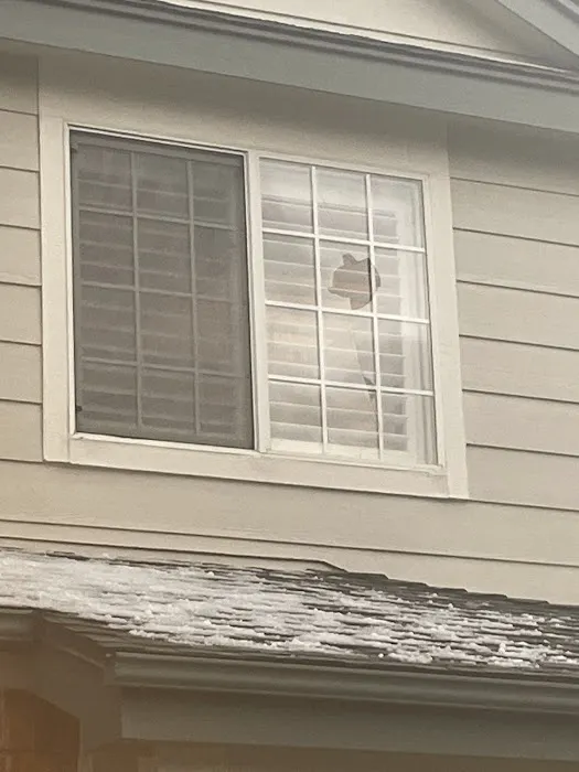 Lighthouse Roofing & Exteriors Picture 5