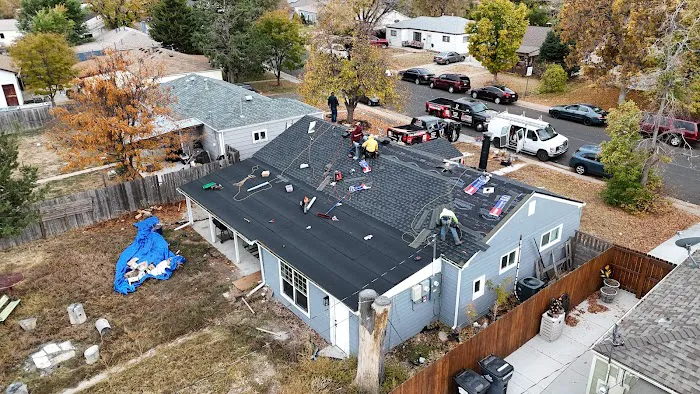 MDZ Roofing Picture 1