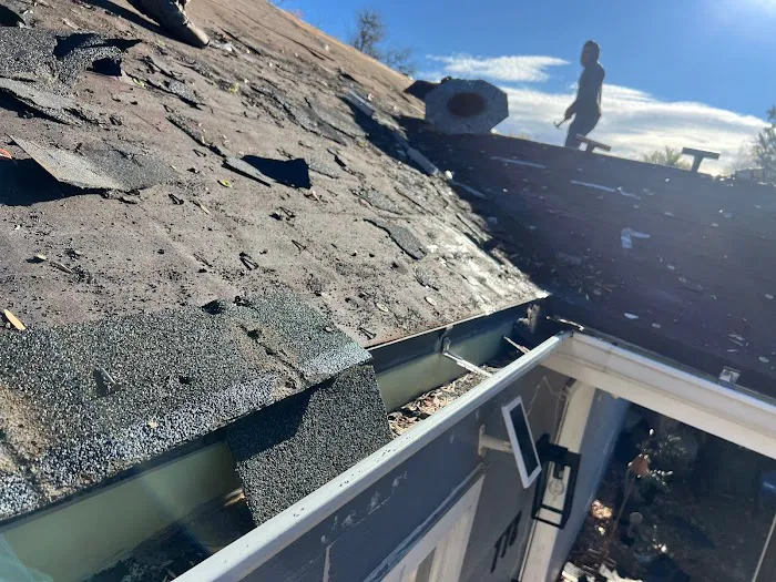 MDZ Roofing Picture 5