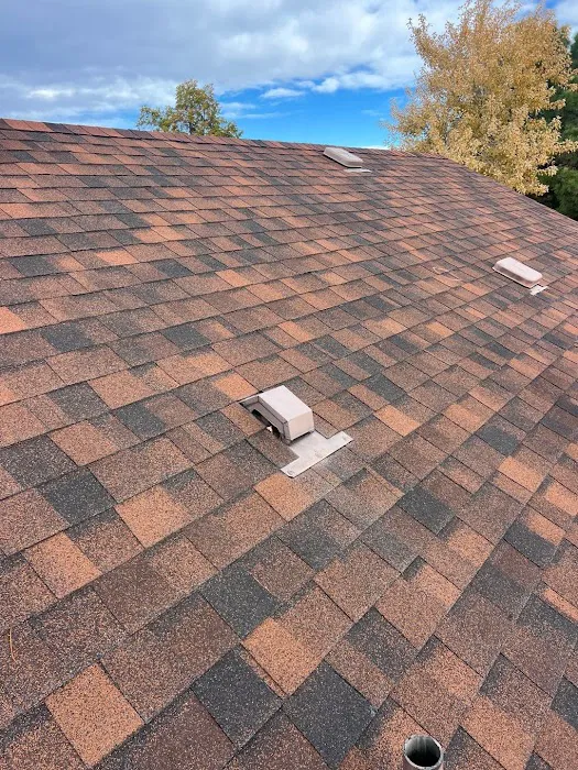 MDZ Roofing Picture 7