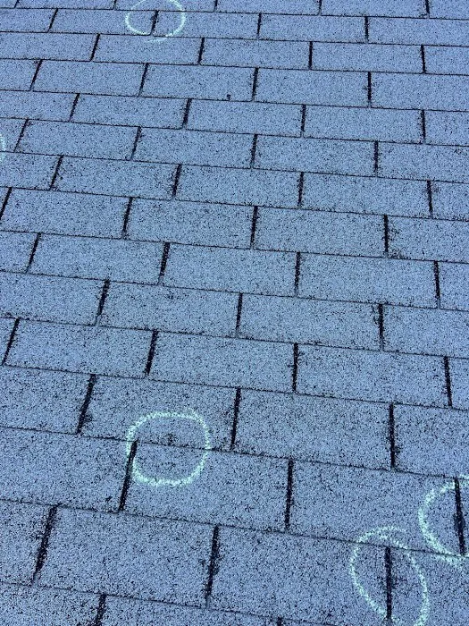 MDZ Roofing Picture 10