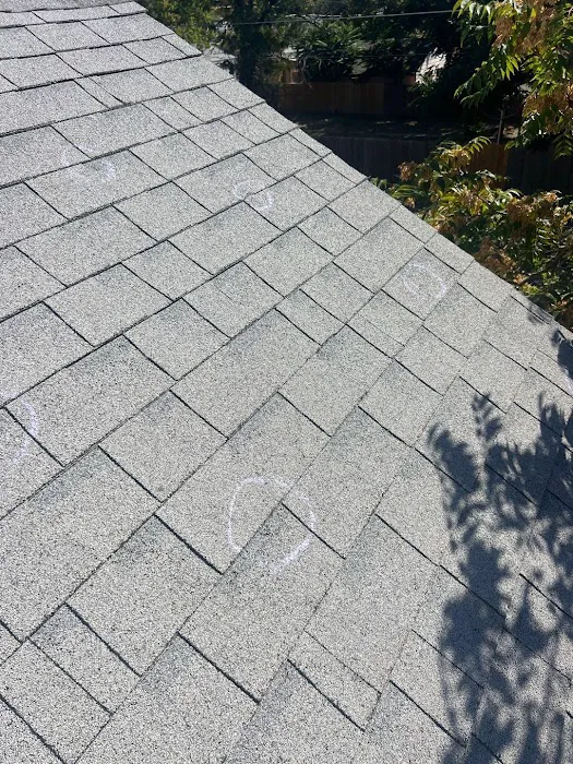 MDZ Roofing Picture 6