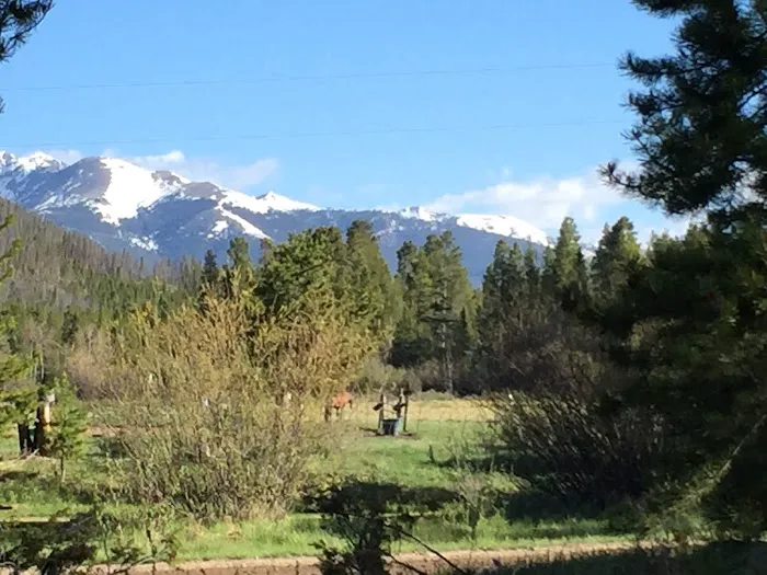 Denver Roof Pros LLC Picture 8