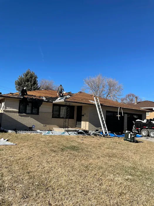 Elements Roofing Picture 10