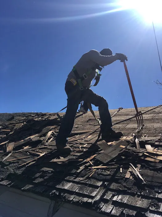 Elements Roofing Picture 5