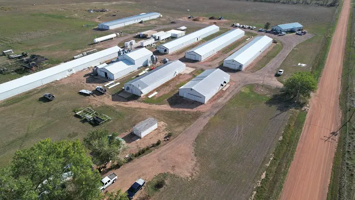 T Bare Roofing Picture 3