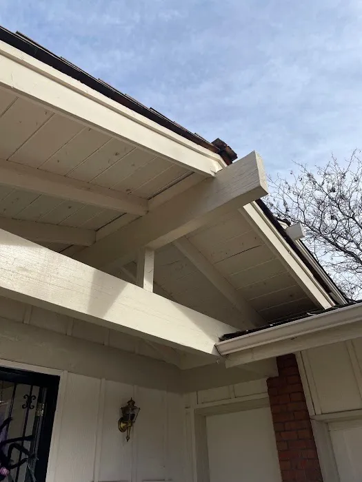 Ninja Roofs Picture 4