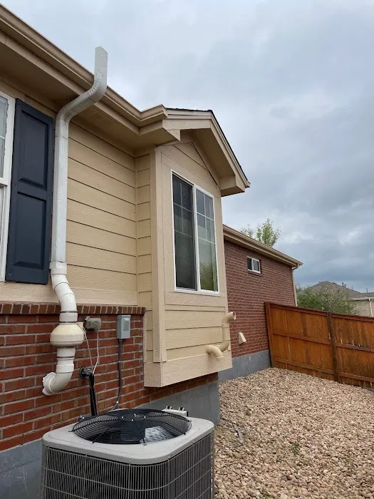 Ninja Roofs Picture 5