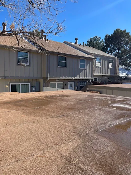 Ninja Roofs Picture 3